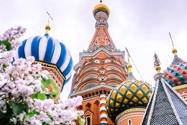 白い曇り空とフォアの多彩な植物を持つモスクワの Basilius 大聖堂 — ストック写真