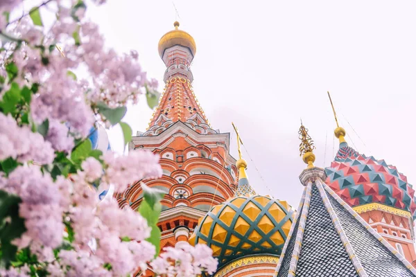 白い曇り空とフォアの多彩な植物を持つモスクワの Basilius 大聖堂 — ストック写真