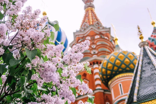 白い曇り空とフォアの多彩な植物を持つモスクワの Basilius 大聖堂 — ストック写真