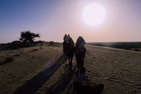 Hermosa Puesta Sol Detrás Dunas Arena Con Caravana Camellos Una —  Fotos de Stock