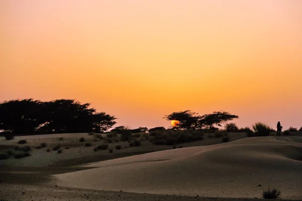 Prachtige Zonsondergang Achter Duinen Met Camel Caravane Een Expeditie Woestijn — Stockfoto