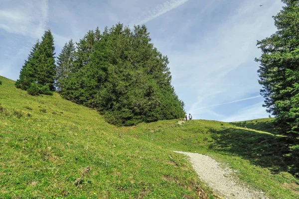 Camino Los Alpes Suizos Que Conduce Leistchamm Montaña Churfirst Toggenburg — Foto de Stock