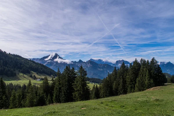 Camino Los Alpes Suizos Que Conduce Leistchamm Montaña Churfirst Toggenburg — Foto de Stock