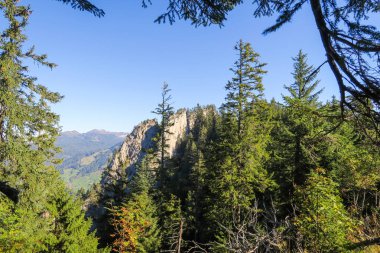 Hiking çarpıcı İsviçre dağlar, Alp Dağları, yeşil çimen, orman swiand patika görünüm