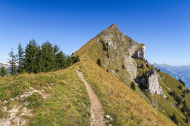 Hiking çarpıcı İsviçre dağlar, Alp Dağları, yeşil çimen, orman swiand patika görünüm