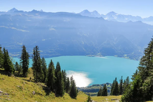 Wandelen in de prachtige Zwitserse bergen, uitzicht op de Alpen, groen gras, bos swiand voetpad — Stockfoto