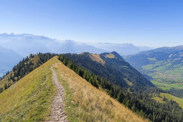 Senderismo en las impresionantes montañas suizas, vista de los Alpes, hierba verde, sendero del bosque swiand — Foto de Stock