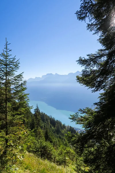 Mooie Wandeling Brienzergrat Van Harder Kulm Naar Augstmatthorn — Stockfoto