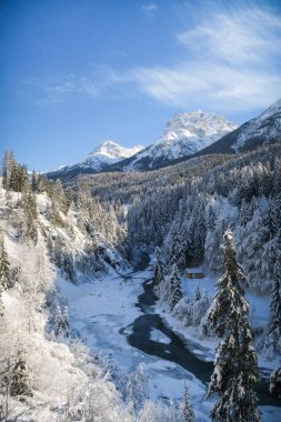 Güzel kış harikalar diyarı manzarası ile kar ağaçlar ve Graubuenden, Engadin vadide donmuş nehri üzerinde