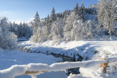 Güzel kış harikalar diyarı manzarası ile kar ağaçlar ve Graubuenden, Engadin donmuş nehri üzerinde