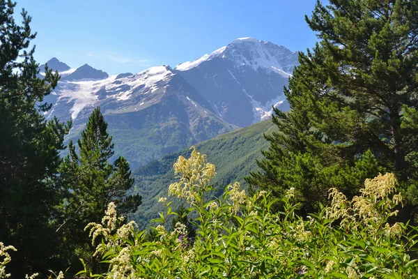 Wandelen Langs Elbroes Met Bergpaden Watervallen — Stockfoto