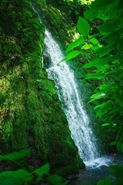 misafirperver Abhazya için seyahat