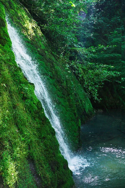 Travel Hospitable Abkhazia — Stock Photo, Image