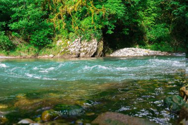 misafirperver Abhazya için seyahat