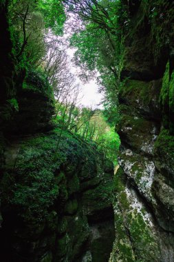 misafirperver Abhazya için seyahat