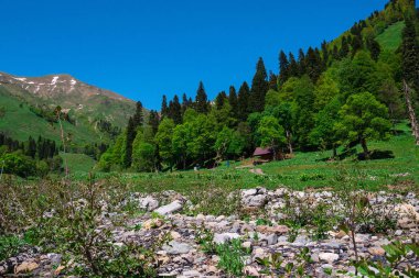 misafirperver Abhazya için seyahat