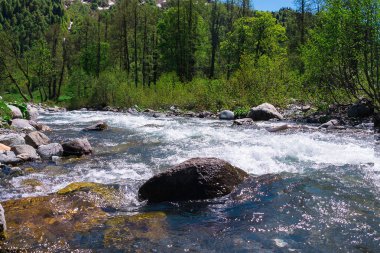misafirperver Abhazya için seyahat