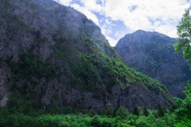 misafirperver Abhazya için seyahat