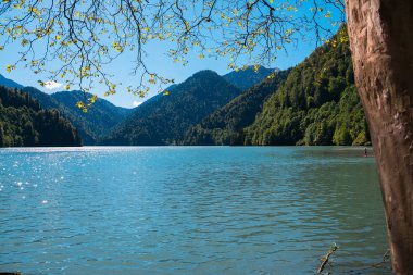 misafirperver Abhazya için seyahat