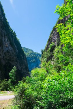 misafirperver Abhazya için seyahat