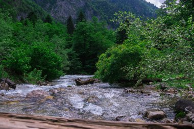 misafirperver Abhazya için seyahat