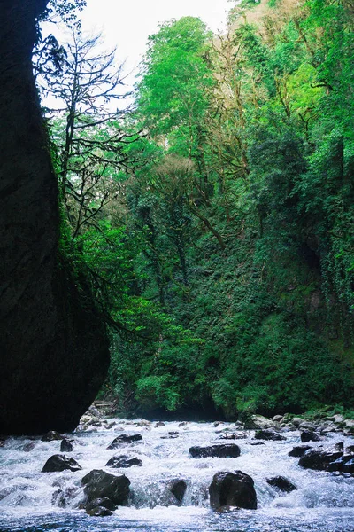 Reisen Ins Gastfreundliche Abchasien — Stockfoto