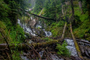 dağ gölleri Kafkasya'da