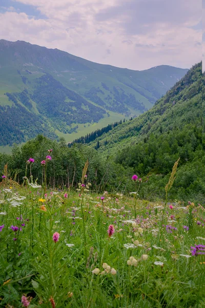 Danau Gunung Kaukasus Stok Lukisan  