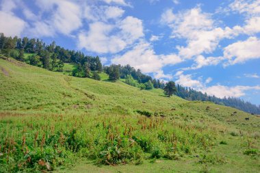 Archiso dağın büyüleyici bir yolculuk