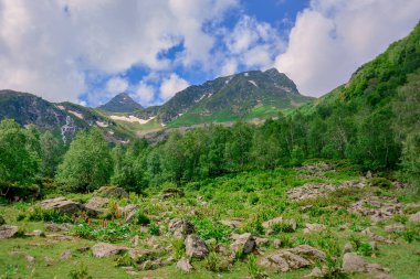 Archiso dağın büyüleyici bir yolculuk