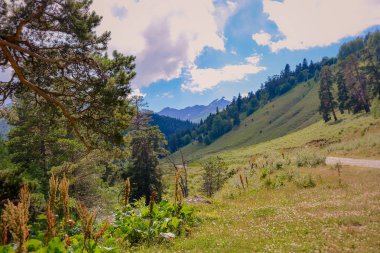 Archiso dağın büyüleyici bir yolculuk