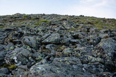 Baykal Gölü gezisi