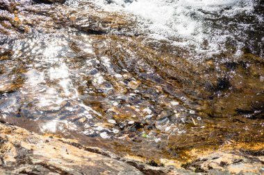 Baykal Gölü gezisi