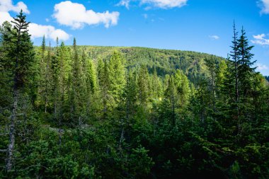 Baykal Gölü gezisi