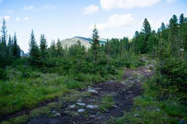 Baykal Gölü gezisi