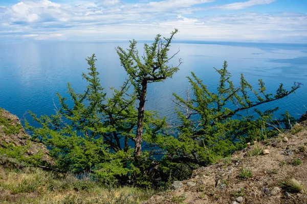 Den Pittoreska Naturen Bajkalsjön — Stockfoto