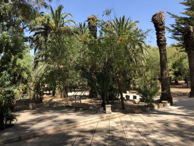     eski eski Kartaca yolculuk