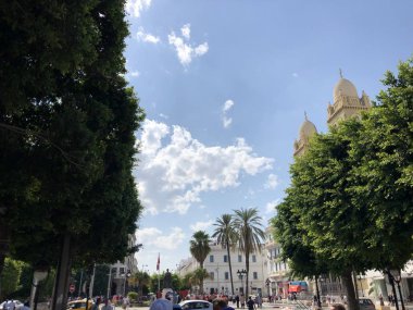 Tunus'un başkentine seyahat