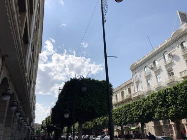 Tunus'un başkentine seyahat