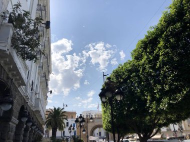 Tunus'un başkentine seyahat