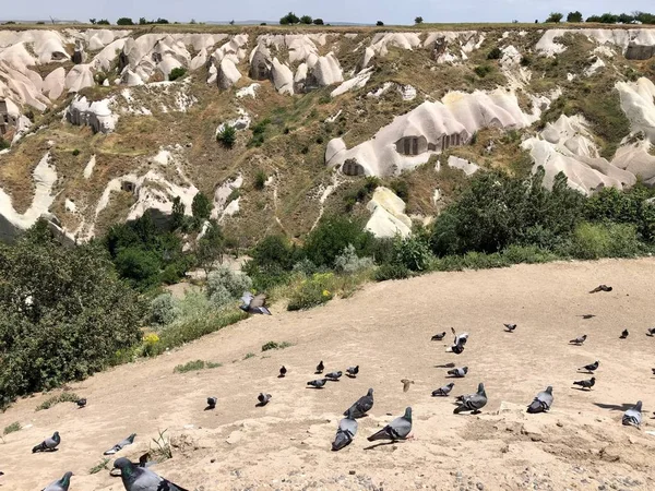 Reise Nach Kappadokien Mit Luftballons — Stockfoto