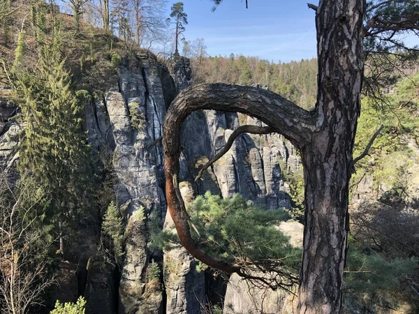 Utazás Saxon Switzerland Németország — Stock Fotó