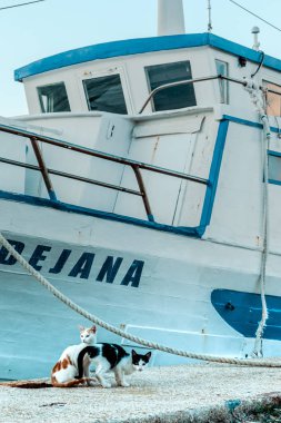 Kedi Balıkçılar deniz deniz mili ve yatlar fon karşı dönüşü bekliyor. Şehir iskele. Karadağ