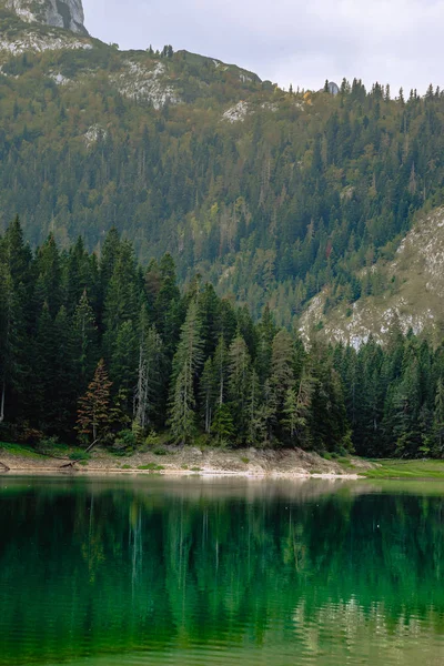Durmitor 国家公园内的黑湖及其周边环境 — 图库照片