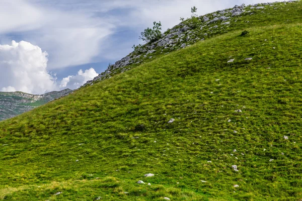 Parque Nacional Durmitor Paso Montaña Montenegro —  Fotos de Stock