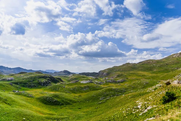 Национальный Парк Дурмитор Горный Перевал Черногория Лицензионные Стоковые Изображения
