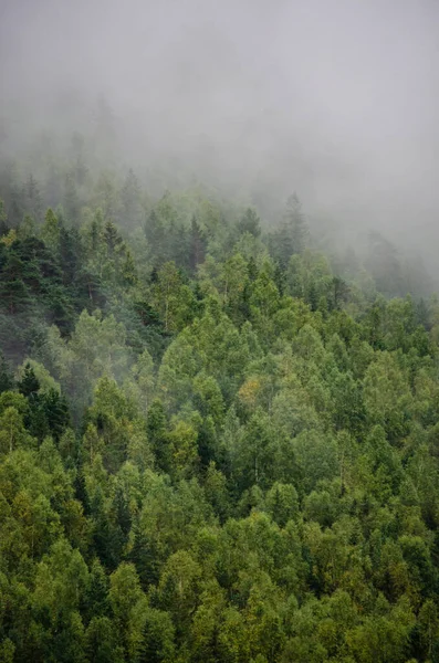 Köd borítja a gyönyörű hegyeket — Stock Fotó