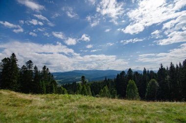 Güzel bir günde yeşil bir dağ manzarası
