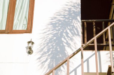 Gölge egzotik palmiye yaz arka plan üzerinde beyaz bir duvar bırakır. Beyaz ve Siyah bindirme fotoğraf veya mockup için.