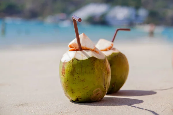 코코넛 칵테일 — 스톡 사진